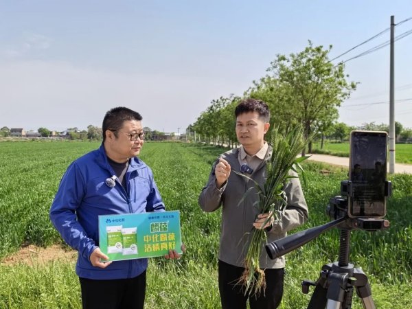 中化化肥生物磷肥保供稳价进行时：直面硫磷紧张局面，践行“国之大者”！