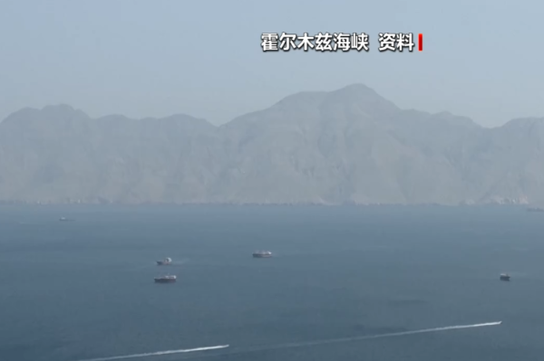 德国派遣舰艇以备霍尔木兹海峡扫雷任务