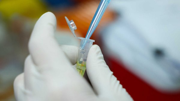 生物制造迎来“超级风口” 合成生物学大科学装置重大突破