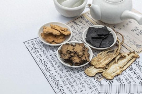 肝肾不足脾胃虚? 熟地+山茱萸+苍术, 三味平价药补足元气超实用