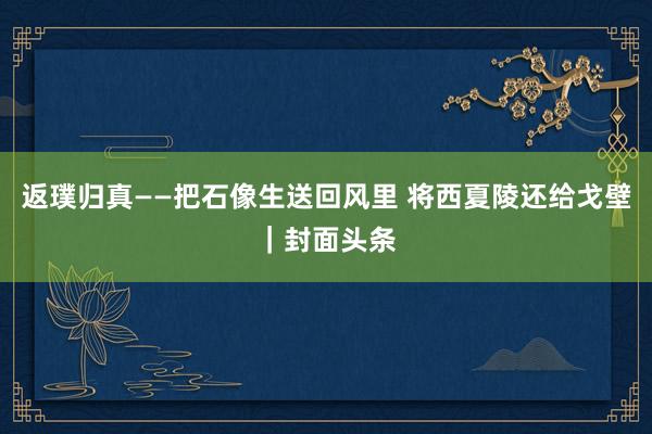 返璞归真——把石像生送回风里 将西夏陵还给戈壁｜封面头条