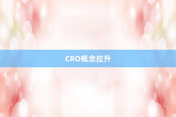 CRO概念拉升