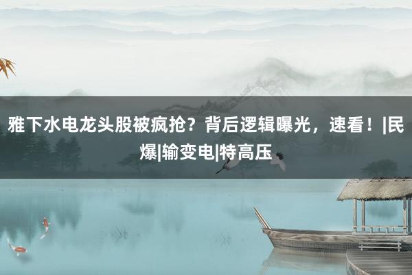 雅下水电龙头股被疯抢？背后逻辑曝光，速看！|民爆|输变电|特高压
