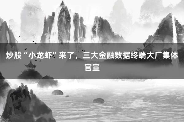 炒股“小龙虾”来了，三大金融数据终端大厂集体官宣