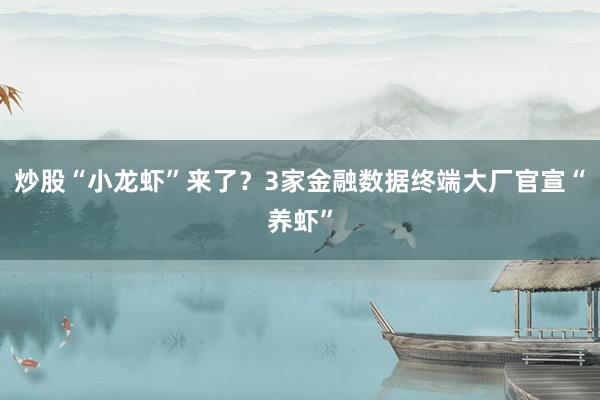 炒股“小龙虾”来了？3家金融数据终端大厂官宣“养虾”