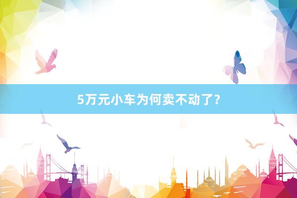 5万元小车为何卖不动了？