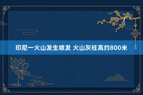 印尼一火山发生喷发 火山灰柱高约800米