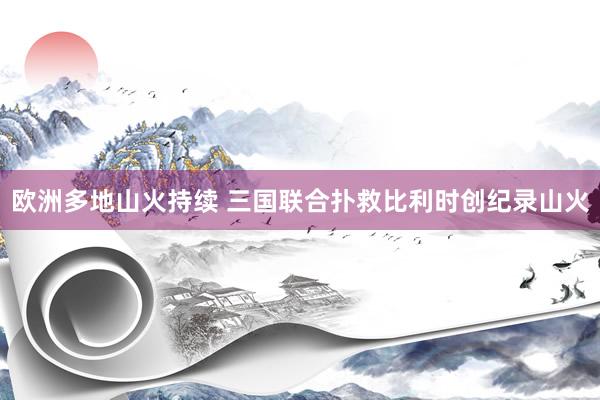 欧洲多地山火持续 三国联合扑救比利时创纪录山火