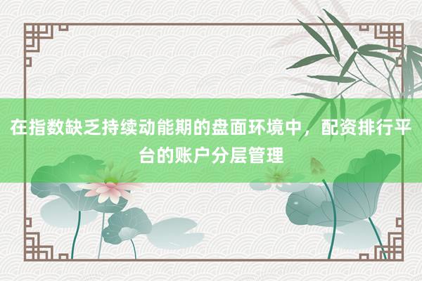 在指数缺乏持续动能期的盘面环境中，配资排行平台的账户分层管理