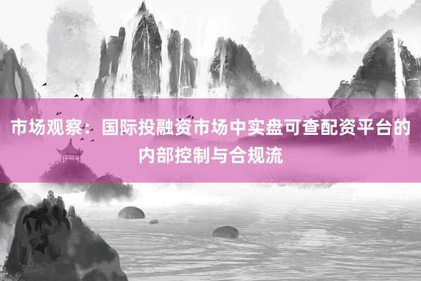 市场观察：国际投融资市场中实盘可查配资平台的内部控制与合规流