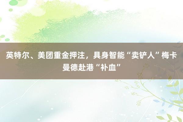 英特尔、美团重金押注，具身智能“卖铲人”梅卡曼德赴港“补血”
