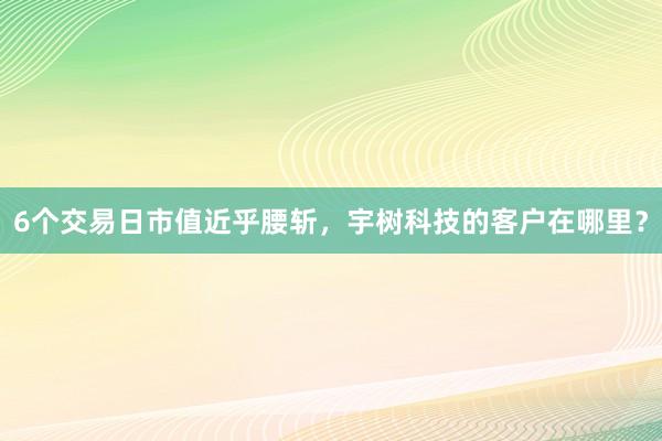 6个交易日市值近乎腰斩，宇树科技的客户在哪里？