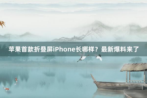 苹果首款折叠屏iPhone长哪样？最新爆料来了